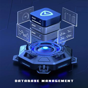 Database Management
