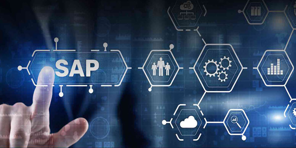 Certified SAP Professional: Training & Certification