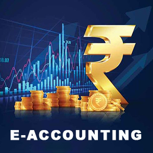 E-Accounting