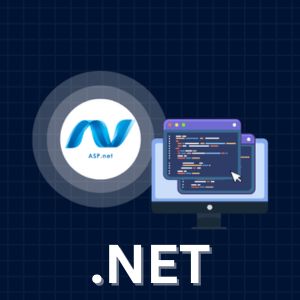 .NET Full Stack Developer