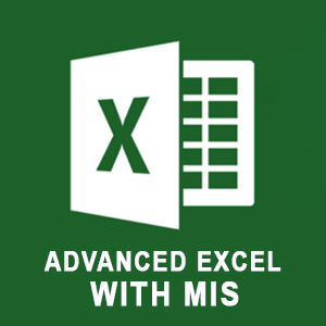 Advanced Excel With MIS