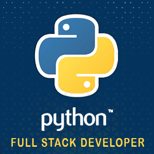 Python Full Stack Developer