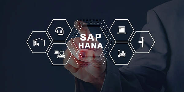 Master SAP HANA with TechnoPaat