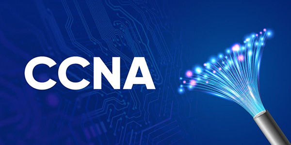 Your Path to Cisco Certified Network Associate Certification