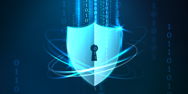 Master Networking and Cybersecurity with Expert Training in Delhi